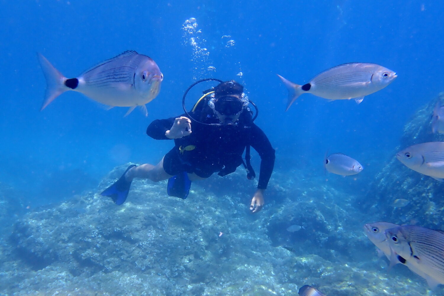 Scuba Diving Kallithea