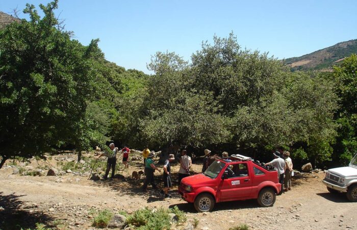 Jeep Safari Rhodes